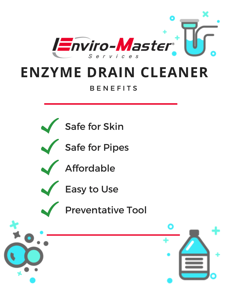 What is an Enzyme Cleaner? How Can It Help Your Drains?