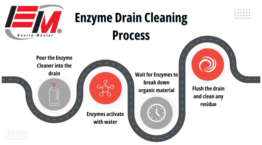 Infographic about the process of enzyme cleaner for drains