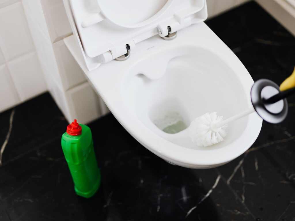 at home toilet cleaning tips