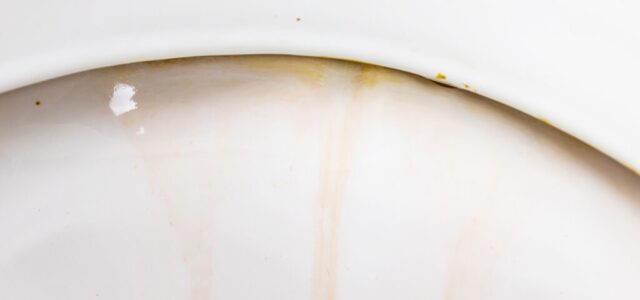 5 Steps to Take When Your Restroom Has Pink Buildup in the Toilet zoomed in image of a toilet with limescale