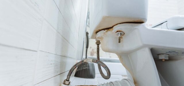 5 Steps to Take When Your Restroom Has Mold Buildup in the Toilet