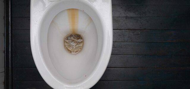5 Steps to Take When Your Restroom Has Stains Around the Toilet Base