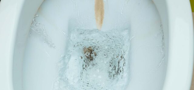 5 Steps to Take When Your Restroom has Rust Buildup in Toilet